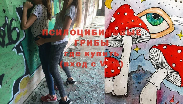 прущие крисы Абаза