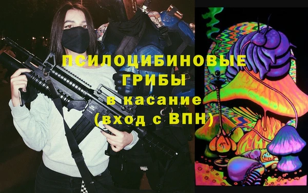 прущие крисы Абаза
